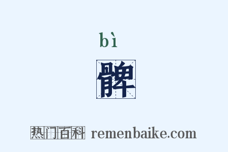 髀是什么意思的图片